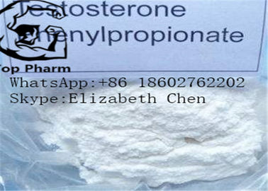 Testosteron Fenilpropionat CAS 1255-49-8 Hızlı Kas Büyümesi Steroidler beyaz toz vücut geliştirme