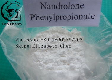 BuildingBody Steroid Hormon Anabolin Farmasötik Malzeme için% 99 Nandrolone Propionate CAS 7207-92-3 daha beyaz toz
