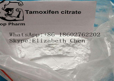CAS 54965-24-1 Erkek Geliştirme Steroidleri Tamoksifen Sitrat Tamofen Nolva beyaz toz