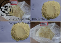 Tren Ace Yağ Kaybı / Kas Steroidleri Oluşturun Trenbolone Asetat CAS 10161-34-9 Beyaz toz %99 saflık