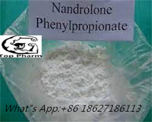 Nandrolone fenilpropionat %99 Saflık CAS 62-90-8 Performansı artırma Vücut Geliştirme Beyaz toz