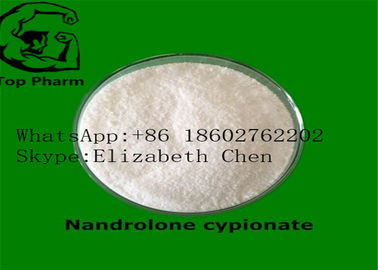 CAS 601-63-8% 99 Saflık Nandrolone Cypionate / Dynabol Yapı Kasları Beyaz Toz