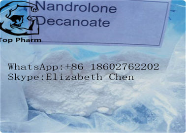 CAS 360-70-3 Nandrolone Decanoate Bina Kasları 4-Estren-17beta-Ol-3-One Decanoate Beyaz Toz %99 saflık